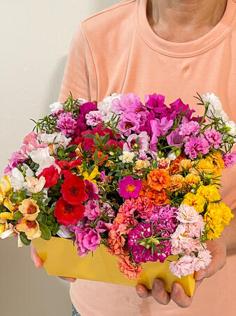 Live rare Plants Nursery Home Cottage Garden Miri Cafe Gifts custom arrangement Surprise