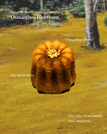 Osmanthus Flower with Hawthorn Berry Cube